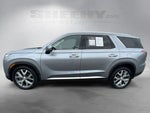 2020 Palisade Thumbnail 24