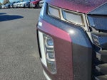 2024 Palisade Thumbnail 9