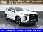 2023 Palisade Thumbnail 3