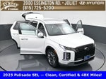 2023 Palisade Thumbnail 30