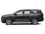 2020 Palisade Thumbnail 2