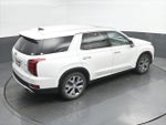2021 Palisade Thumbnail 32