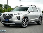 2022 Palisade Thumbnail 1