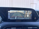 2020 Palisade Thumbnail 11