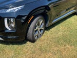 2021 Palisade Thumbnail 5