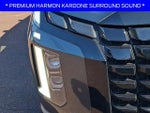 2024 Palisade Thumbnail 9