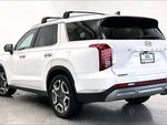 2024 Palisade Thumbnail 12