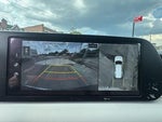 2024 Palisade Thumbnail 25
