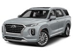 2020 Palisade Thumbnail 1