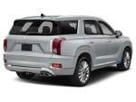 2020 Palisade Thumbnail 3
