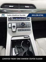 2021 Palisade Thumbnail 19