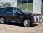 2020 Palisade Thumbnail 1