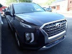 2020 Palisade Thumbnail 4