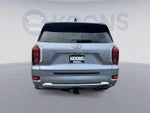 2020 Palisade Thumbnail 7