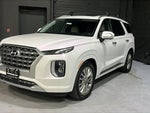 2020 Palisade Thumbnail 3