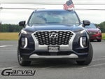 2021 Palisade Thumbnail 2