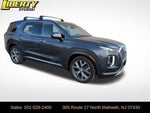 2021 Palisade Thumbnail 1