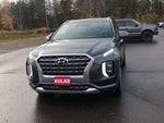 2020 Palisade Thumbnail 3