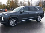 2020 Palisade Thumbnail 4