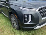 2021 Palisade Thumbnail 2