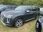 2021 Palisade Thumbnail 5