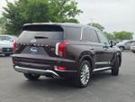 2020 Palisade Thumbnail 13