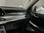 2021 Palisade Thumbnail 27