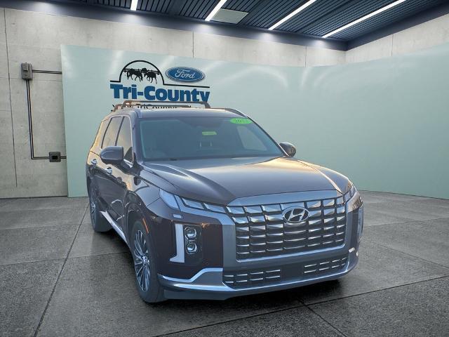 2023 Hyundai Palisade - $19,977
