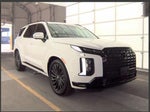2025 Palisade Thumbnail 5