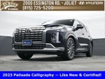 2023 Palisade Thumbnail 22