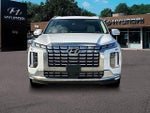 2025 Palisade Thumbnail 14