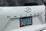 2024 Palisade Thumbnail 28