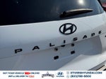 2024 Palisade Thumbnail 15