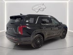 2025 Palisade Thumbnail 5