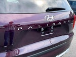 2021 Palisade Thumbnail 6