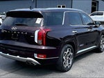 2021 Palisade Thumbnail 9