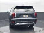 2022 Palisade Thumbnail 6