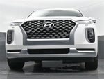 2021 Palisade Thumbnail 40