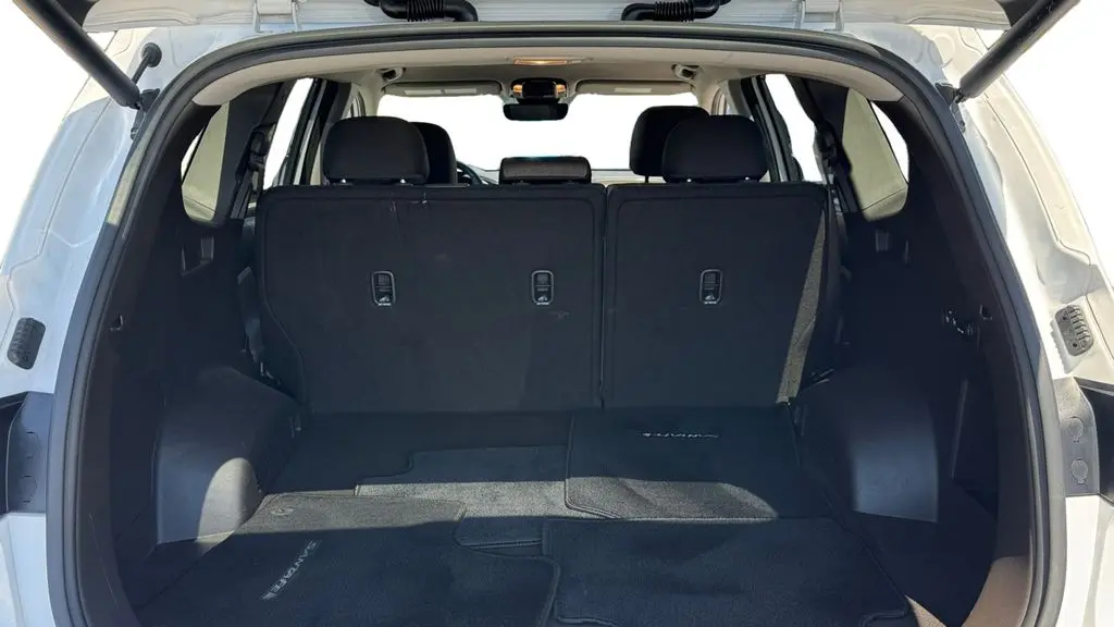 2022 Hyundai SANTA FE Hybrid Blue