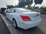2013 Equus Thumbnail 5