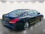 2015 Equus Thumbnail 13
