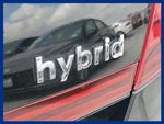 2023 SONATA Hybrid Thumbnail 6