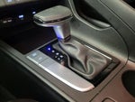 2025 Elantra Thumbnail 17