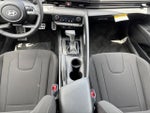 2025 Elantra Thumbnail 12