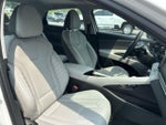 2025 Elantra Thumbnail 28