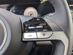 2025 Elantra Thumbnail 19