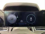 2025 Elantra Thumbnail 19