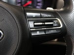 2020 Stinger Thumbnail 29