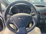 2016 Forte Thumbnail 20