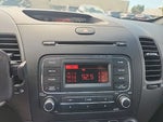 2016 Forte Thumbnail 21